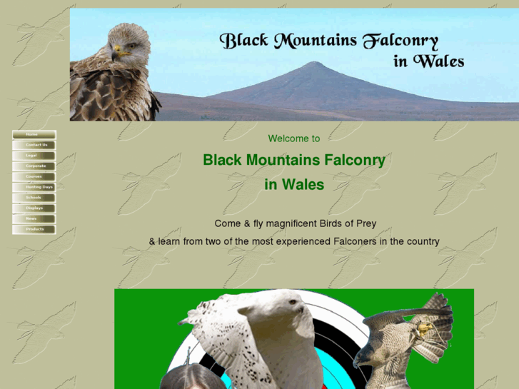 www.black-mountains-falconry-centre.com