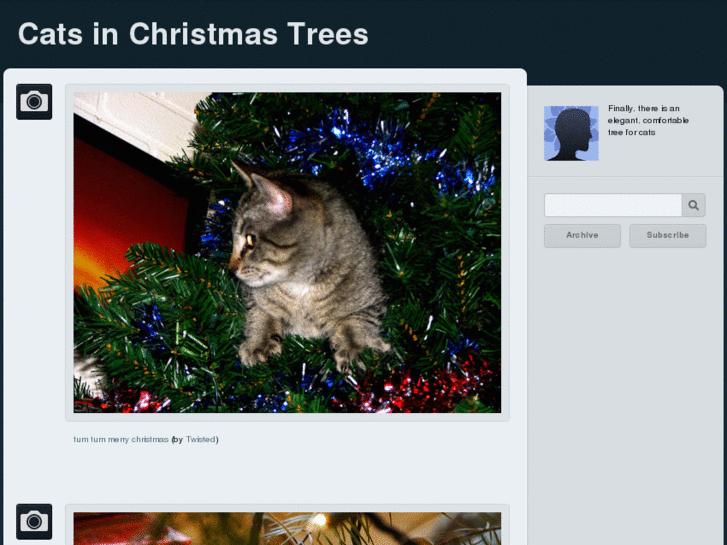 www.catsinchristmastrees.com