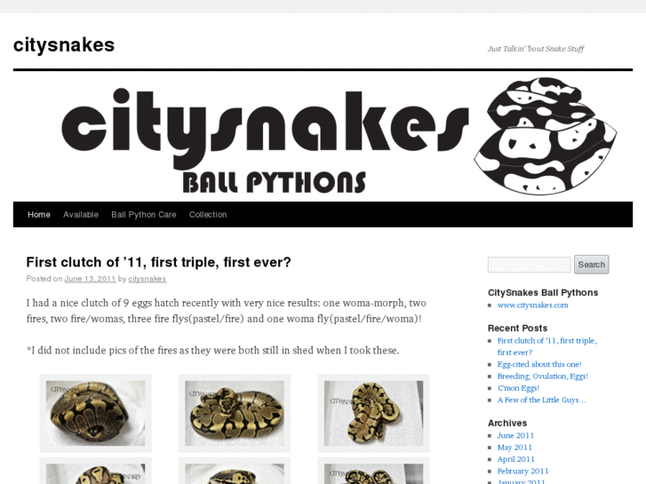 www.citysnakes.com