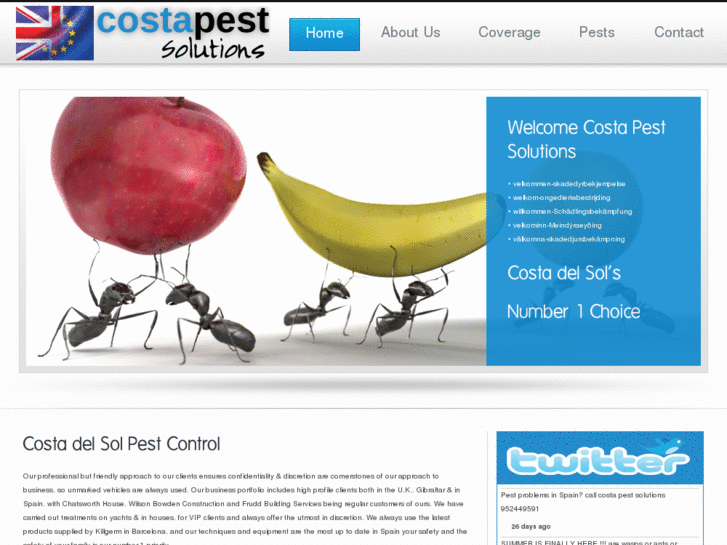 www.costapestsolutions.com