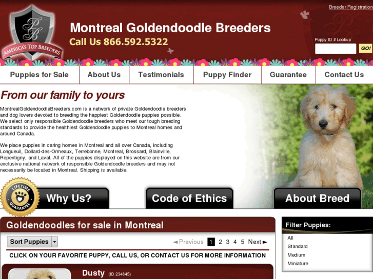 www.montrealgoldendoodlebreeders.com