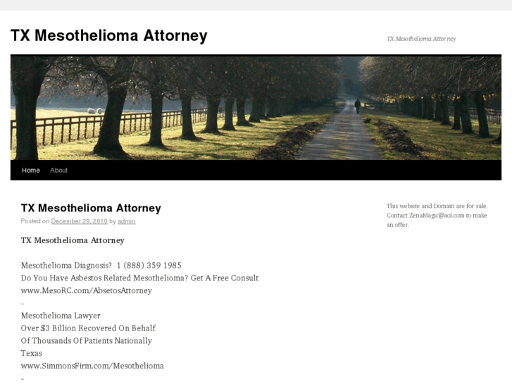 www.txmesotheliomaattorney.com