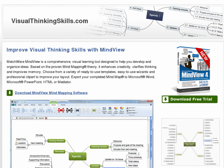 www.visualthinkingskills.com