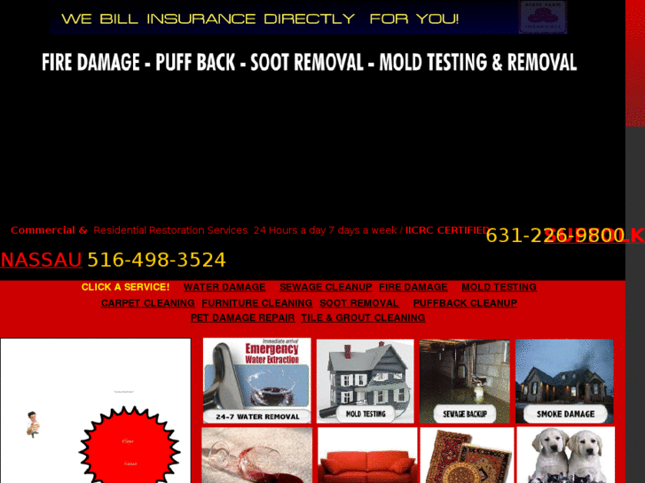www.carpetcleaningalbertson.com