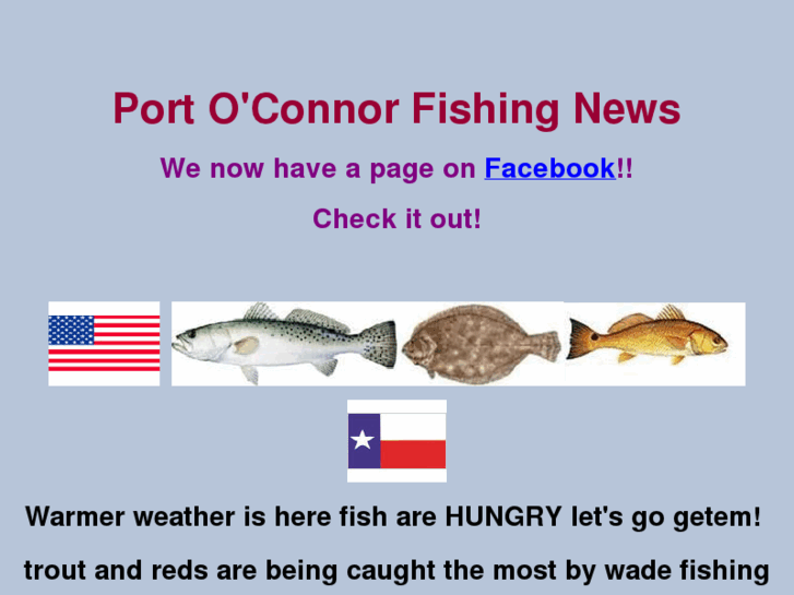 www.portoconnor-fishing-news.com