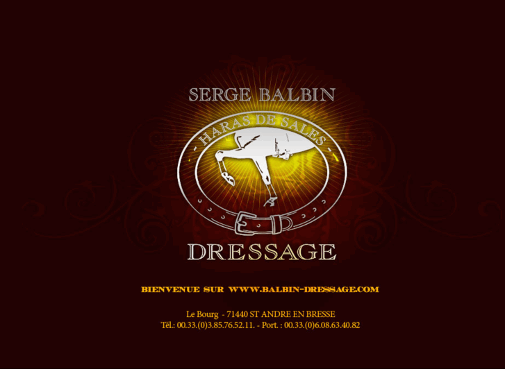 www.balbin-dressage.com