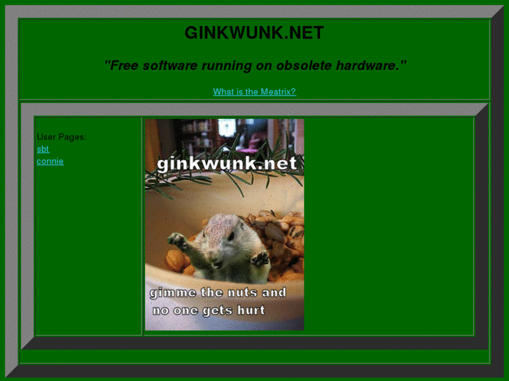 www.ginkwunk.net