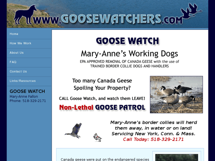 www.goosewatchers.com