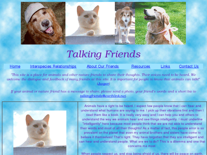 www.talkingfriends.org