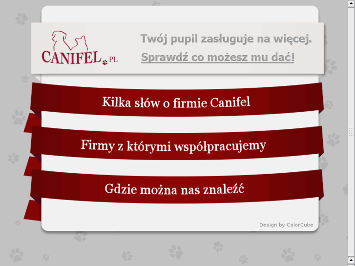www.canifel.pl