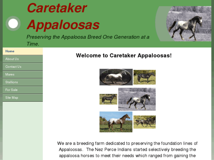 www.caretakerappaloosas.com