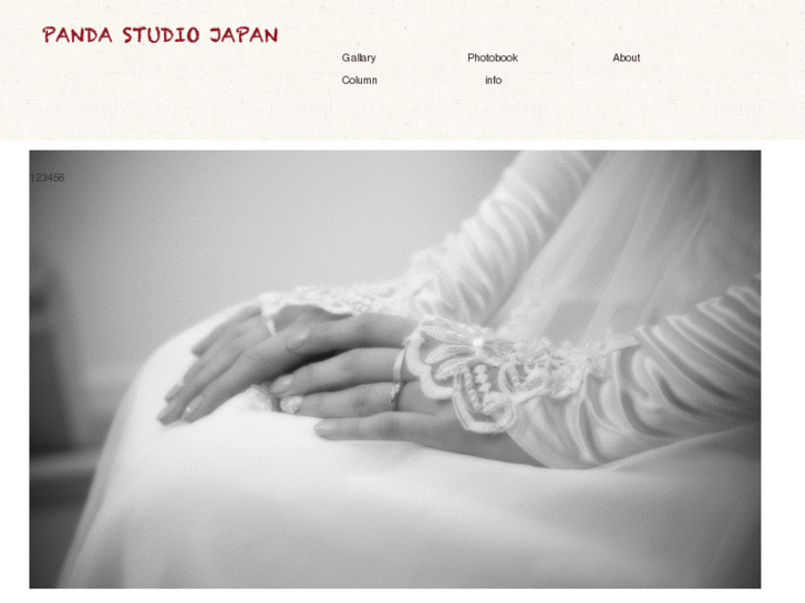 www.pandastudio2.com