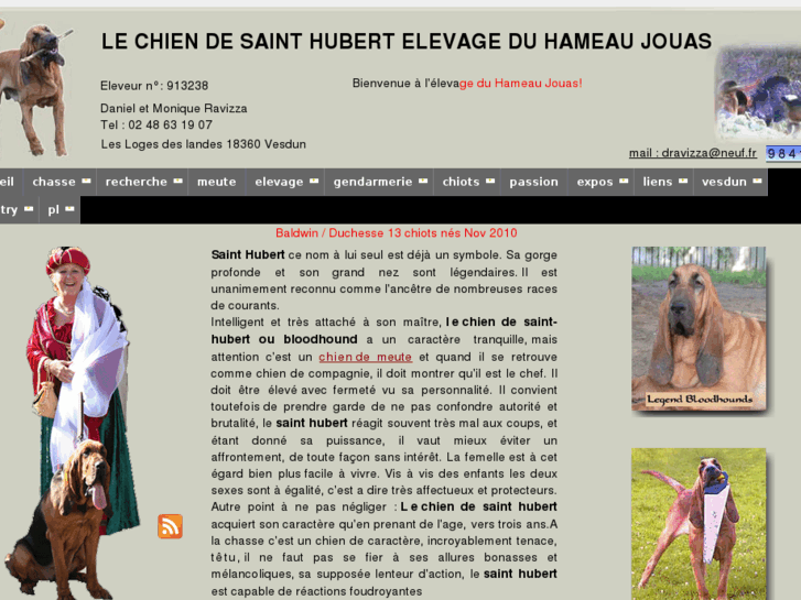 www.saint-hubert-bloodhound.fr