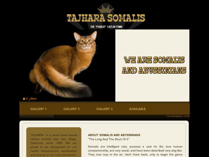 www.tajharasomalis.com