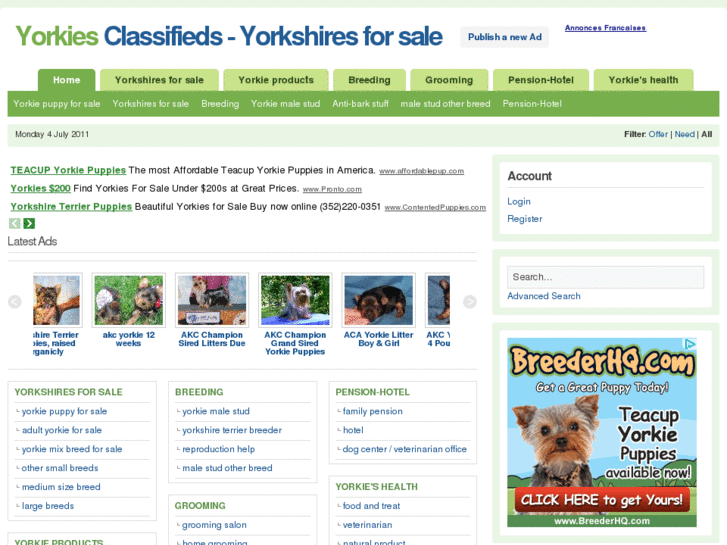 www.yorkiesclassified.com