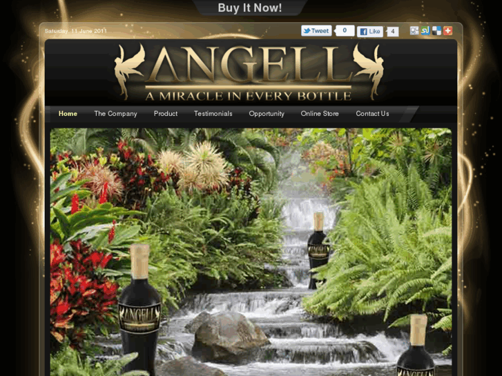 www.angell.biz