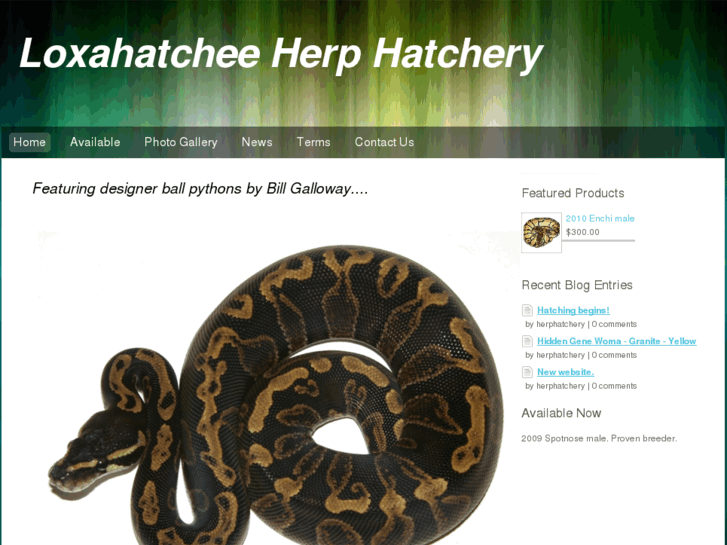 www.herphatchery.com