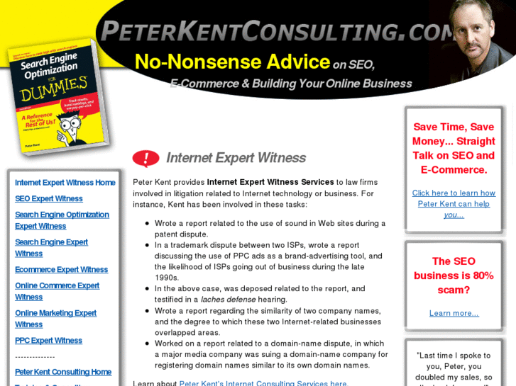 www.internet-expert-witness.net