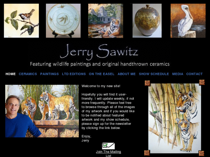 www.jerrysawitz.com