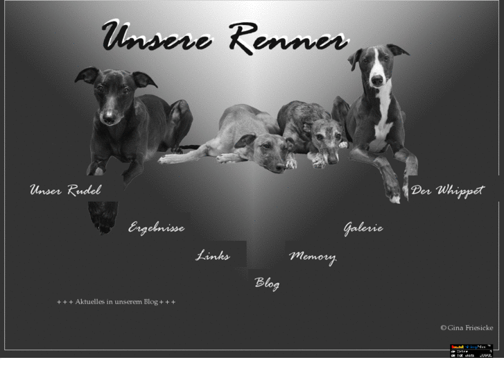 www.whippet-world.com