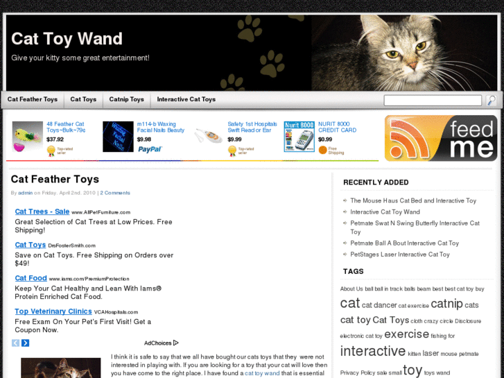 www.cattoywand.com