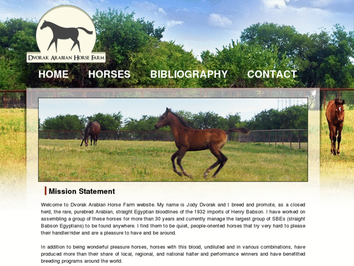 www.dvorakarabianhorsefarm.com