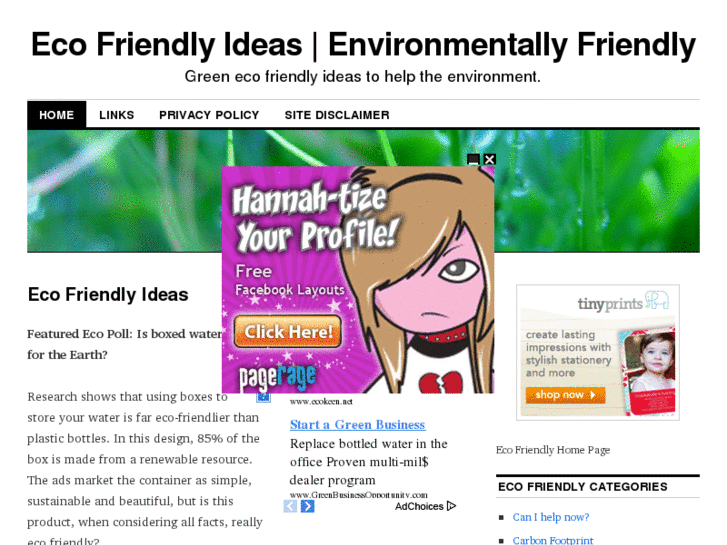 www.ecofriendlyideas.net