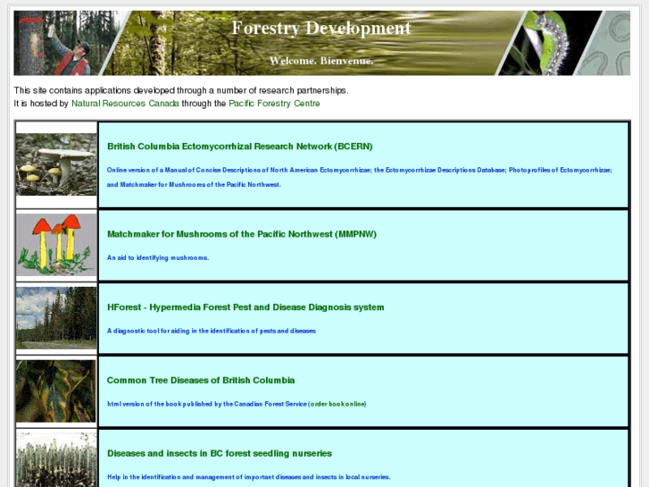 www.forestry-dev.org