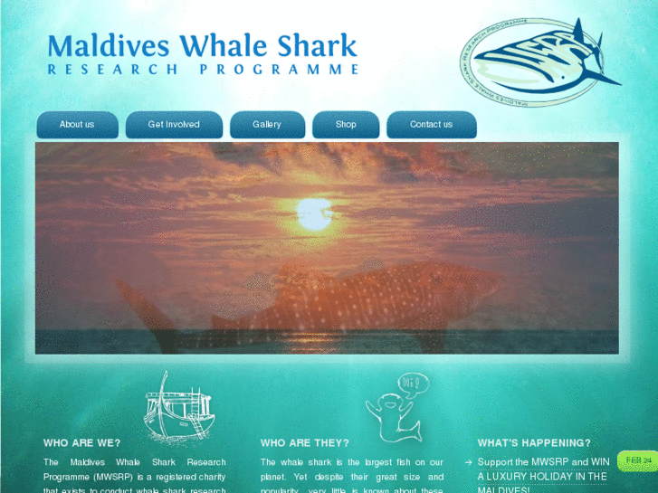 www.maldiveswhalesharkresearch.org