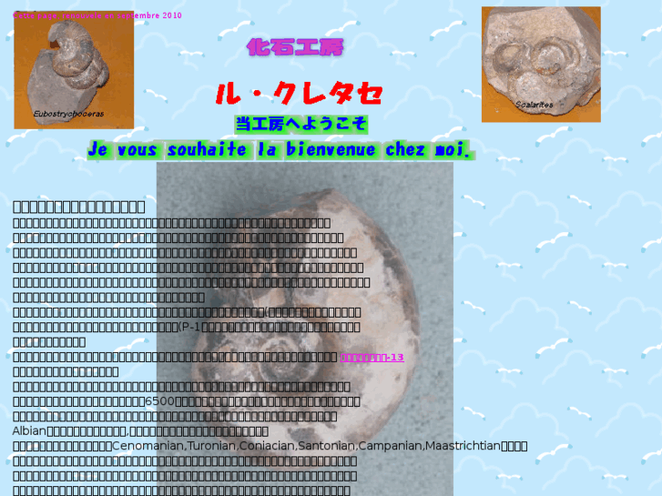 www.ammonite-fossil.net
