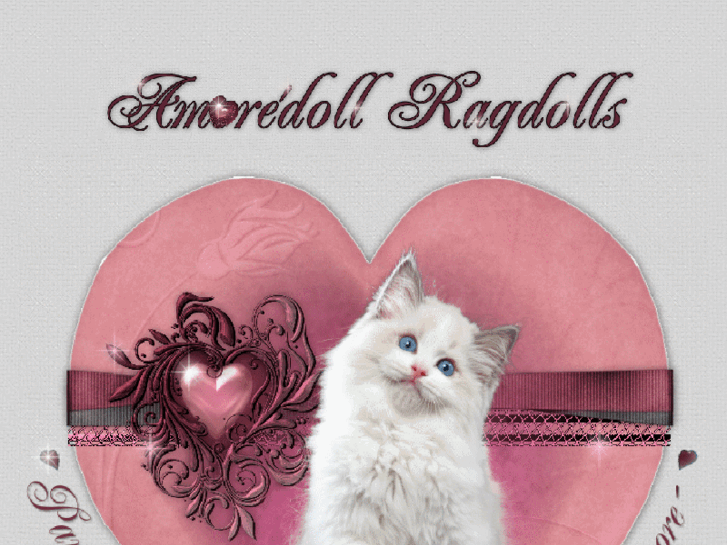 www.amoredollragdolls.com