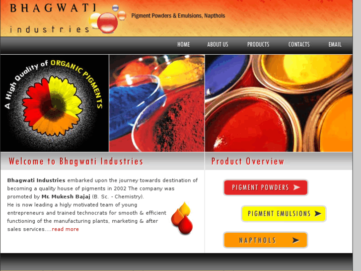 www.bhagwatipigments.com