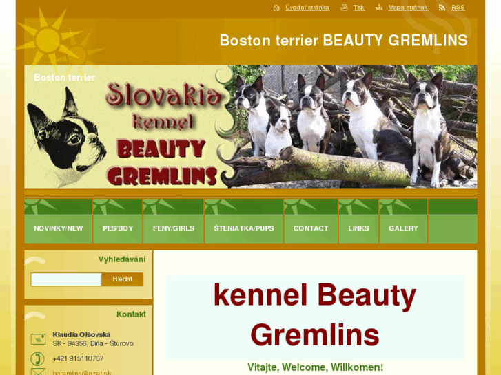 www.bostonbeautygremlins.com