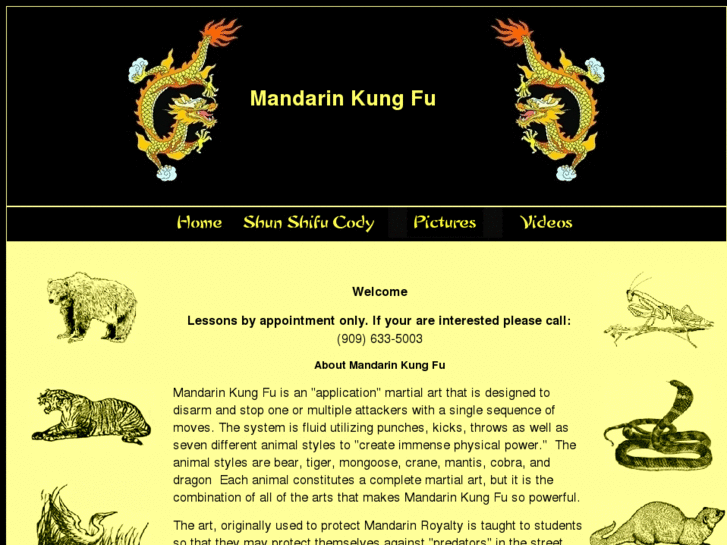 www.goldendragonkungfu.net