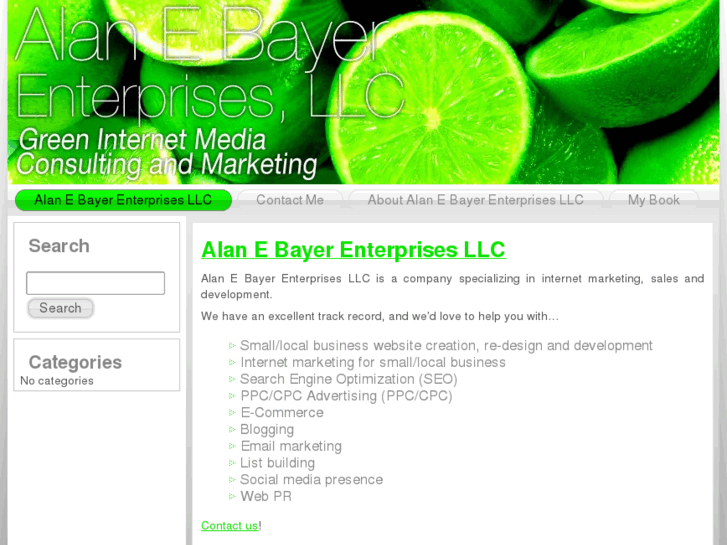 www.alanebayer.com