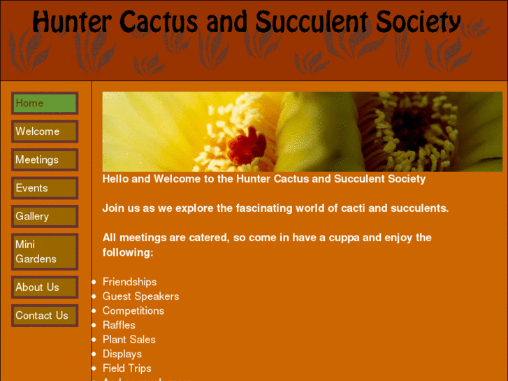 www.huntercactusnsw.com