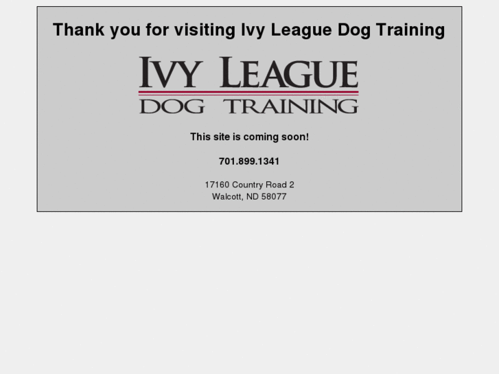 www.ivyleaguedogtraining.com