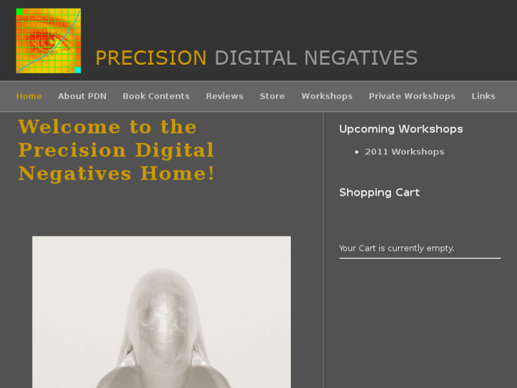 www.precisiondigitalnegatives.com