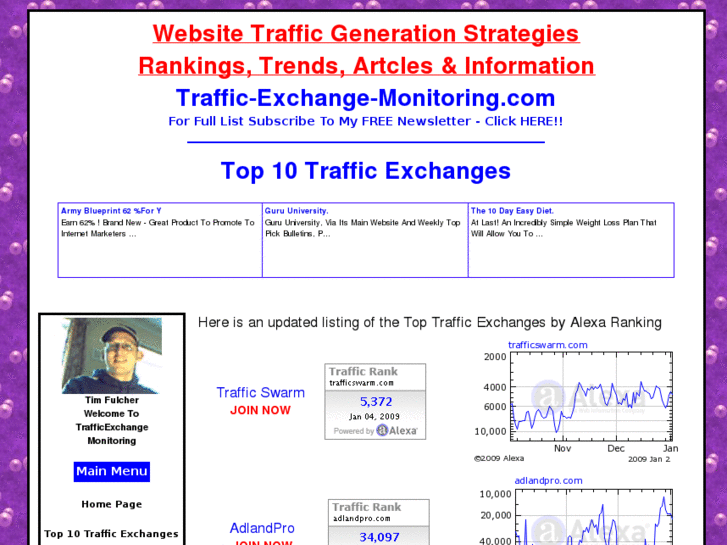 www.traffic-exchange-monitoring.com