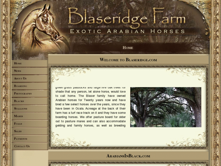 www.blaseridge.com