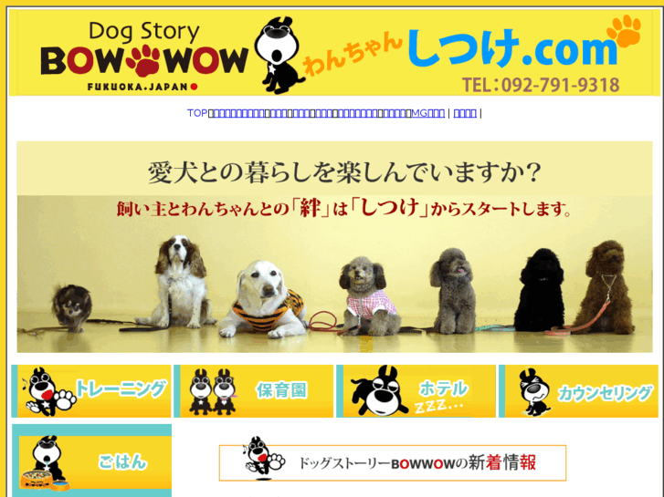 www.bowwowshitsuke.com