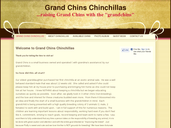 www.grandchins.com