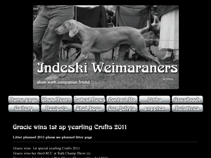 www.indeskiweimaraners.com