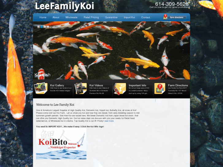 www.leefamilykoi.com