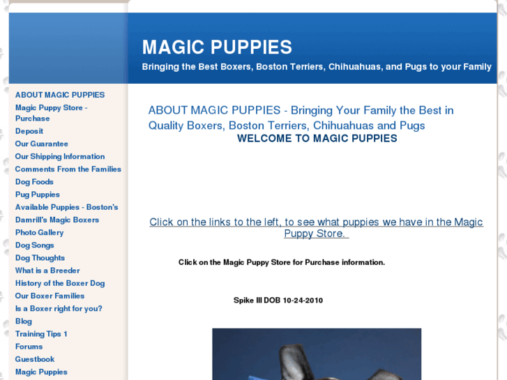 www.magicpuppies.com