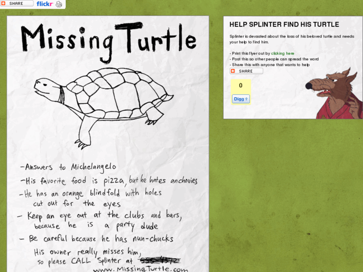 www.missingturtle.com