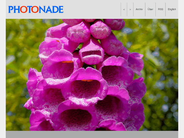 www.photonade.com