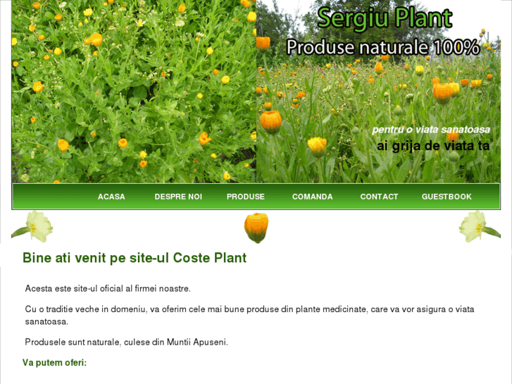 www.sergiu-plant.com