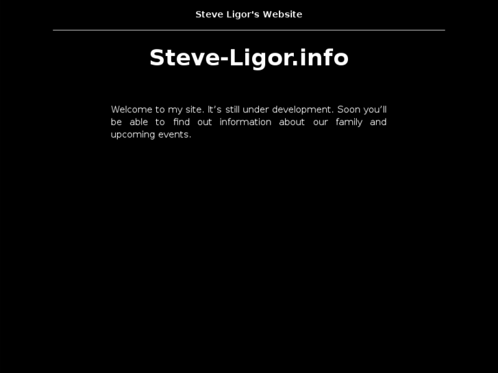 www.steve-ligor.info
