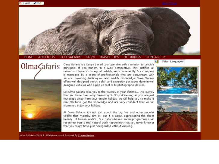 www.olma-safaris.com
